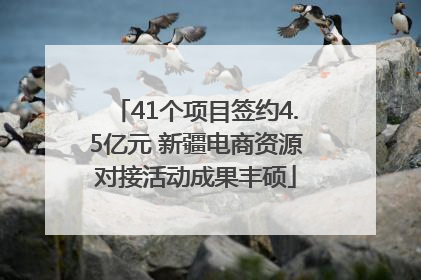41个项目签约4.5亿元 新疆电商资源对接活动成果丰硕